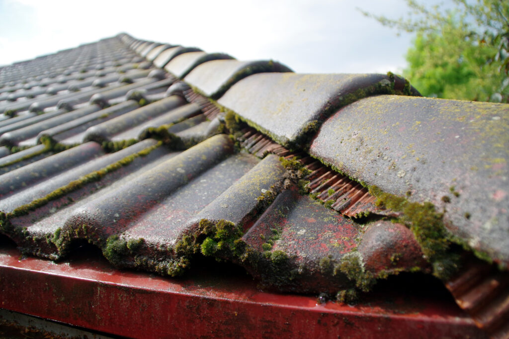 Gros plan d'un toit aux tuiles endommagées et couvertes de mousse à Figeac, soulignant le besoin urgent de réparation et de démoussage de toiture à Figeac.