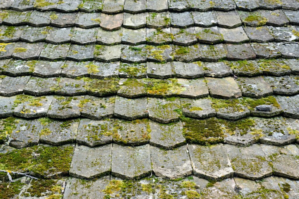 Gros plan d'un vieux toit de bardeaux usé et couvert de mousse présentant des signes visibles d'altération et de dégradation.