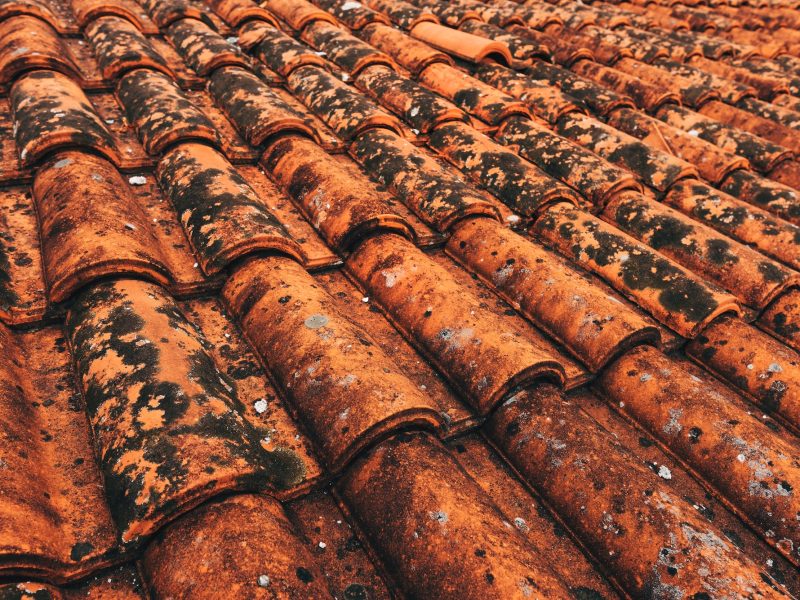 Gros plan d'un vieux toit de tuiles en terre cuite patiné avec une croissance visible de mousse et de lichen.