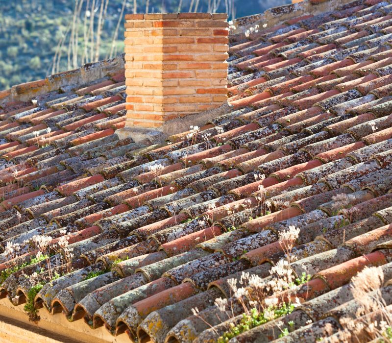 Gros plan d'un toit carrelé avec de la mousse et de la végétation, avec une cheminée en brique au centre. L'arrière-plan montre une verdure floue.